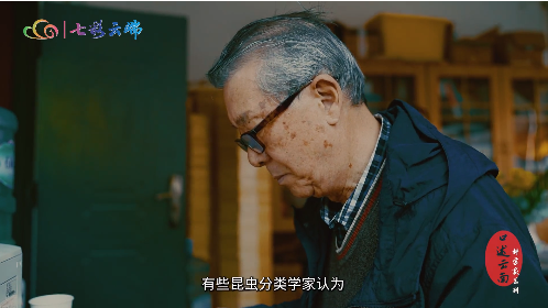 昆虫学家熊江：小昆虫有大科学
