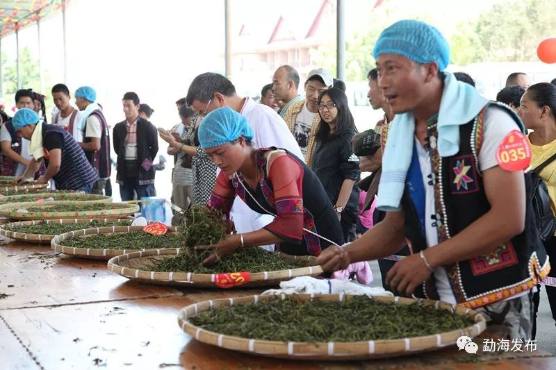 勐海“茶王节”要来啦！举办了十一届的Ta将有哪些超越？