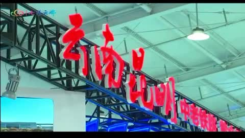 “中老铁路+全国试点”丨昆明深化服务贸易创新发展