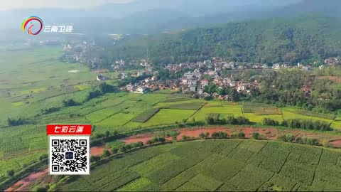 看见云南：初秋时节巍山坝子美如画