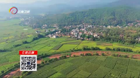 看见云南：初秋时节巍山坝子美如画