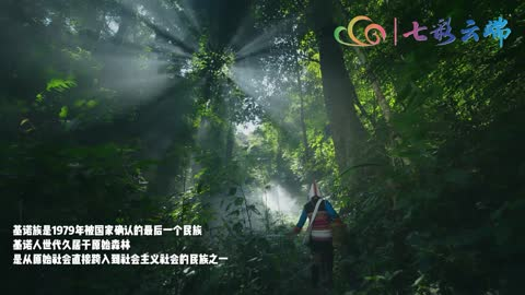 云南景洪：一次穿越雨林的奇趣冒险 基诺山乡雨林徒步