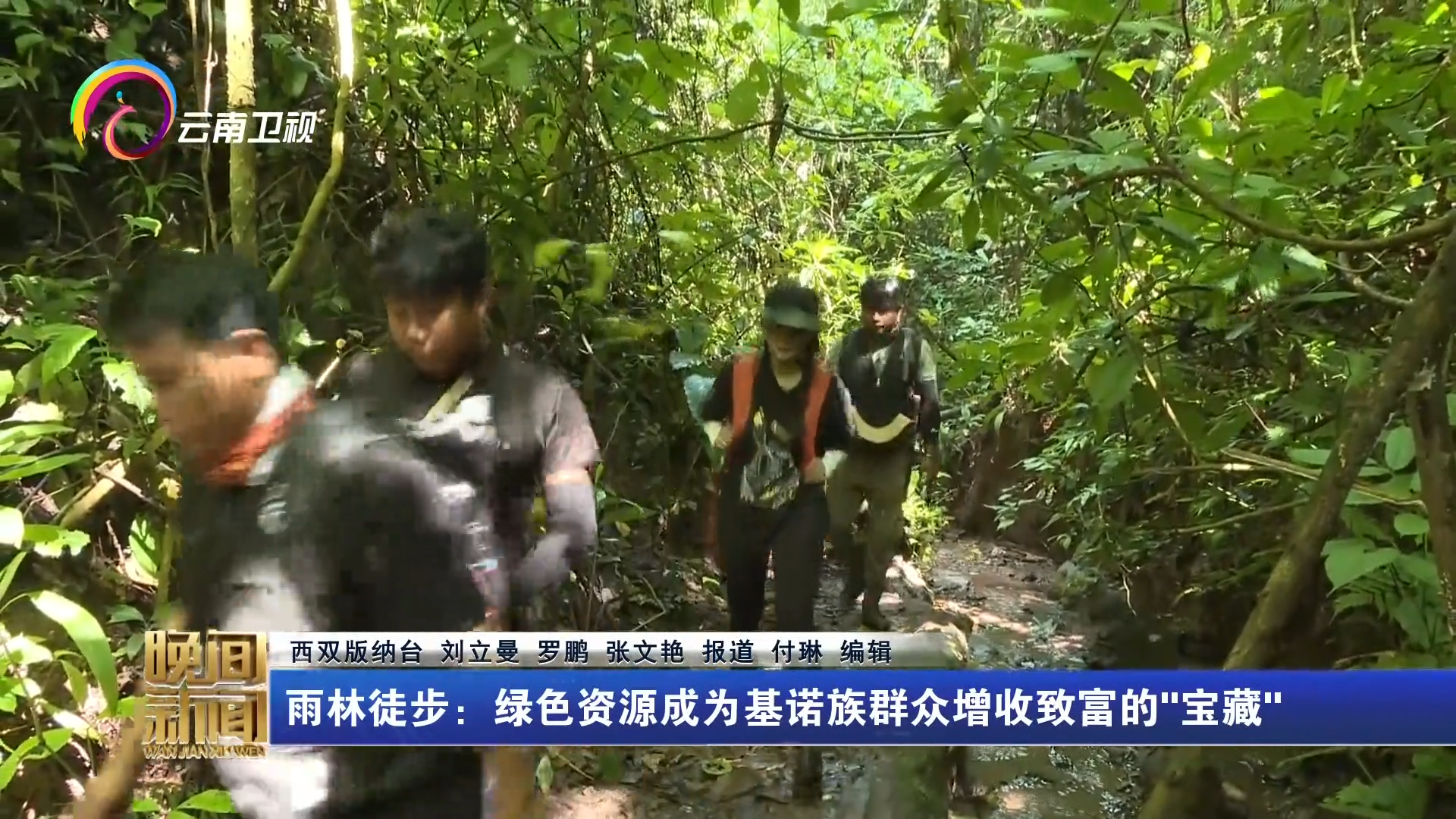 雨林徒步：绿色资源成为基诺族群众增收致富的“宝藏”