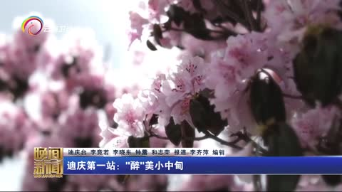 迪庆第一站："醉"美小中甸