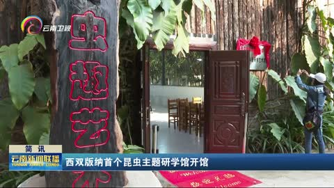 西双版纳首个昆虫主题研学馆开馆