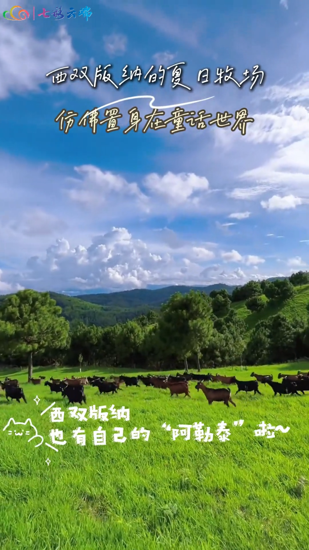 西双版纳的“阿勒泰” 我们的夏牧场 