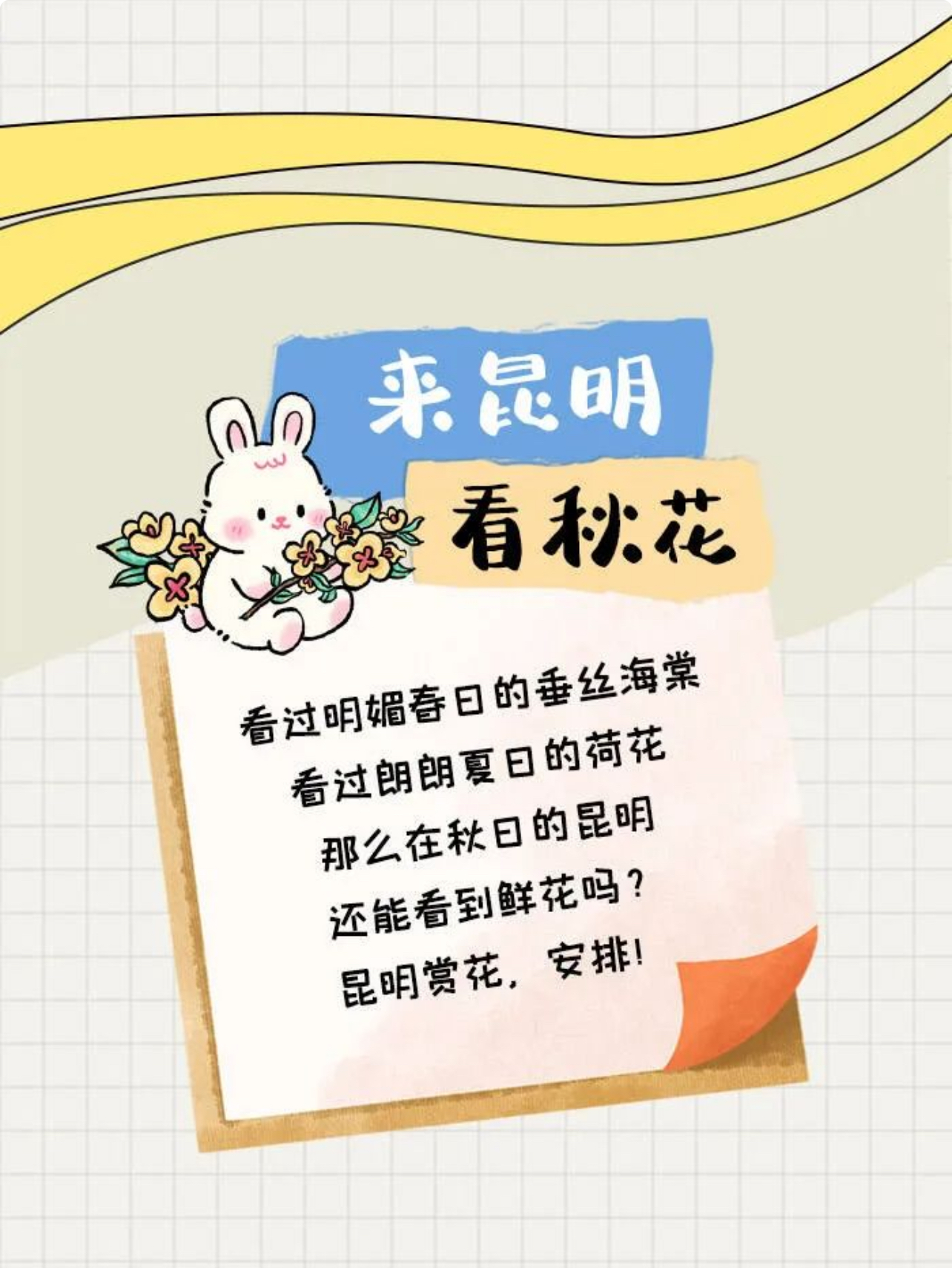中秋假期去哪玩？来昆明就对了！