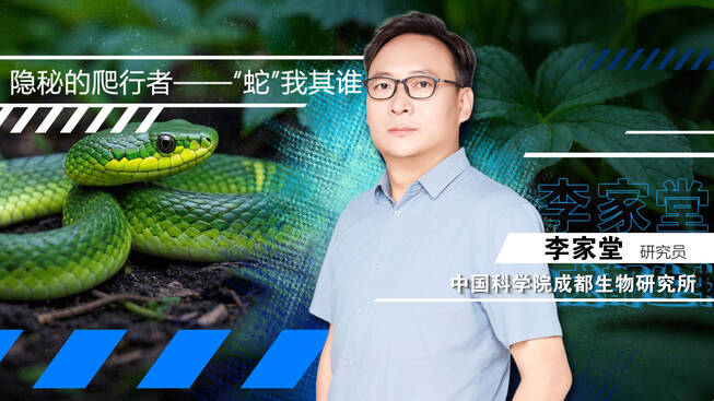 科学公开课：2025，“蛇”我其谁？揭秘隐秘的爬行者