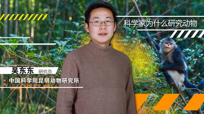 科学公开课：科学家为什么研究动物